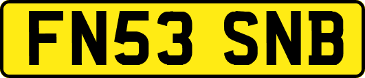 FN53SNB