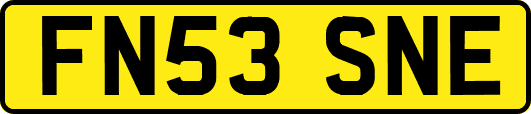 FN53SNE