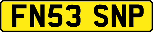FN53SNP