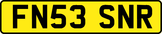 FN53SNR