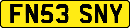 FN53SNY