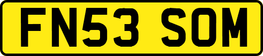 FN53SOM