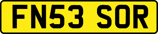 FN53SOR