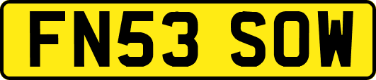 FN53SOW