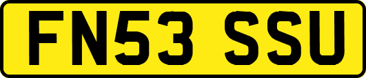 FN53SSU