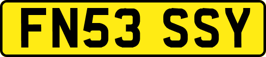 FN53SSY