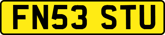 FN53STU
