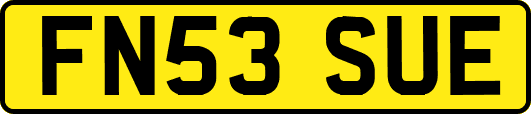 FN53SUE