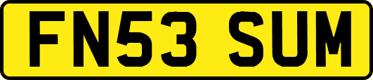 FN53SUM