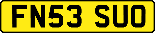FN53SUO
