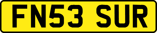FN53SUR