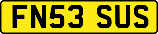 FN53SUS