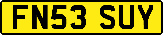 FN53SUY
