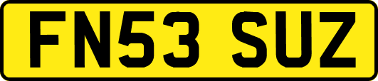 FN53SUZ