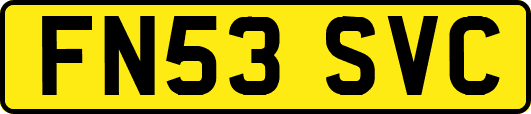 FN53SVC