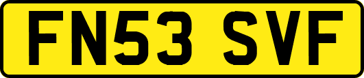 FN53SVF