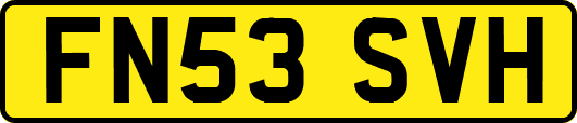 FN53SVH