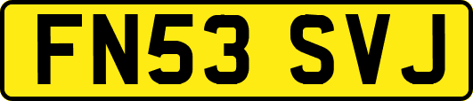 FN53SVJ