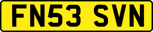 FN53SVN