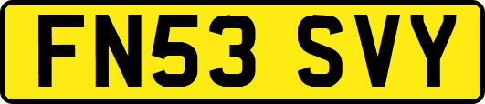 FN53SVY
