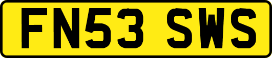 FN53SWS