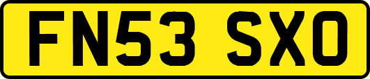 FN53SXO
