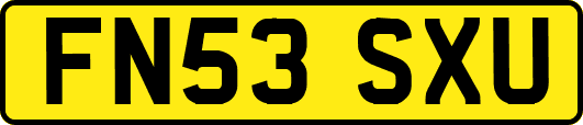 FN53SXU