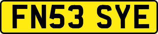 FN53SYE