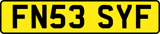 FN53SYF