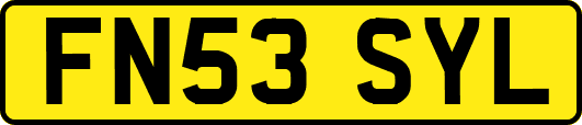 FN53SYL