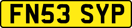 FN53SYP