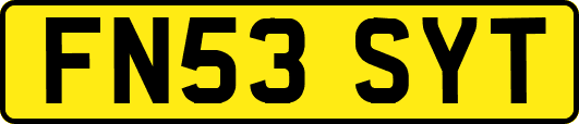 FN53SYT