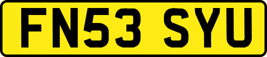 FN53SYU