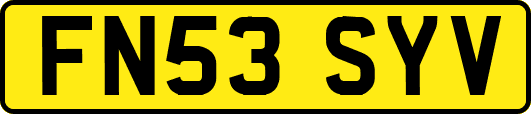 FN53SYV