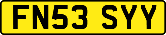 FN53SYY