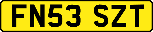 FN53SZT