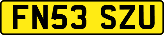 FN53SZU