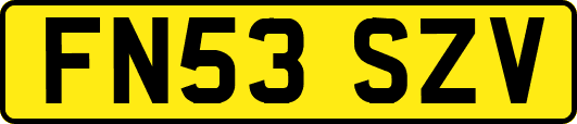 FN53SZV