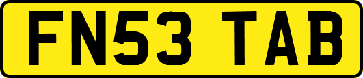 FN53TAB