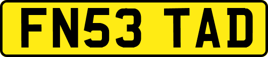 FN53TAD