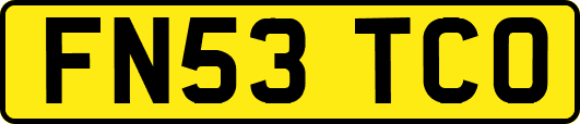 FN53TCO