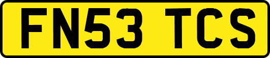 FN53TCS