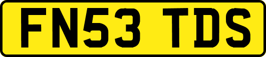 FN53TDS