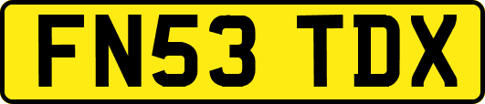 FN53TDX