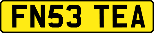 FN53TEA