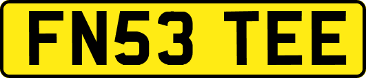 FN53TEE