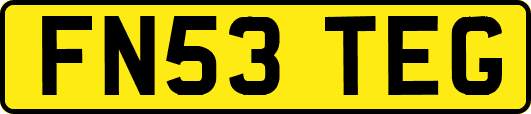 FN53TEG