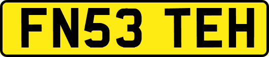 FN53TEH