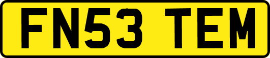 FN53TEM