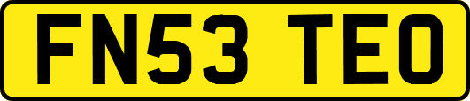 FN53TEO